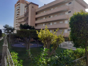 Apartamento en Calle Ciruelo